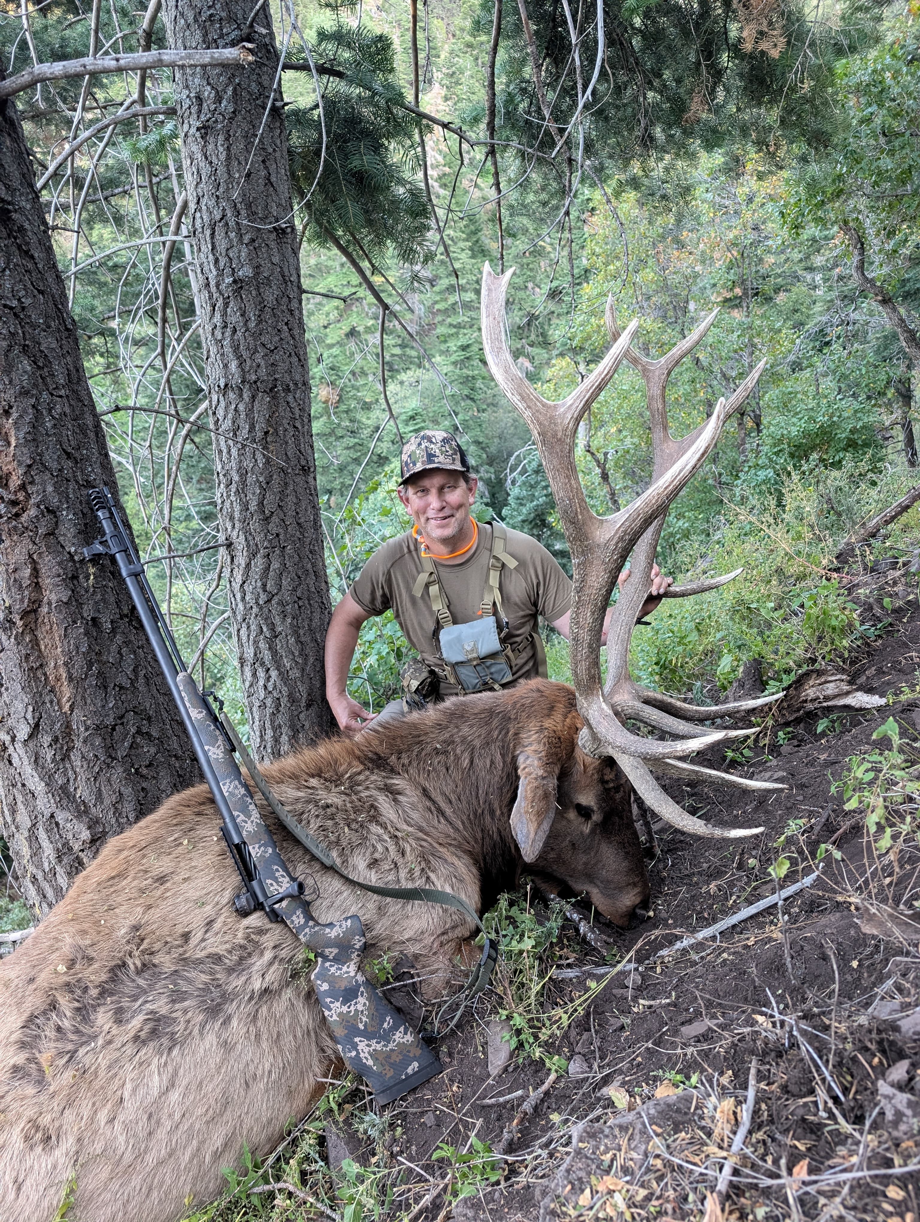 Elk