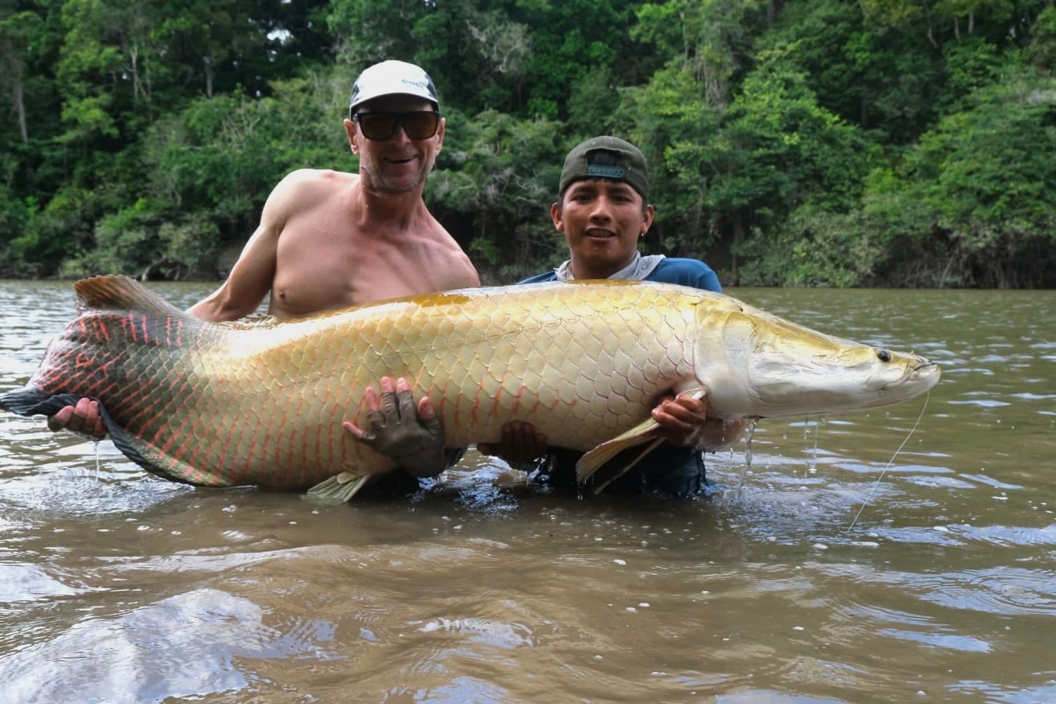 Arapaima
