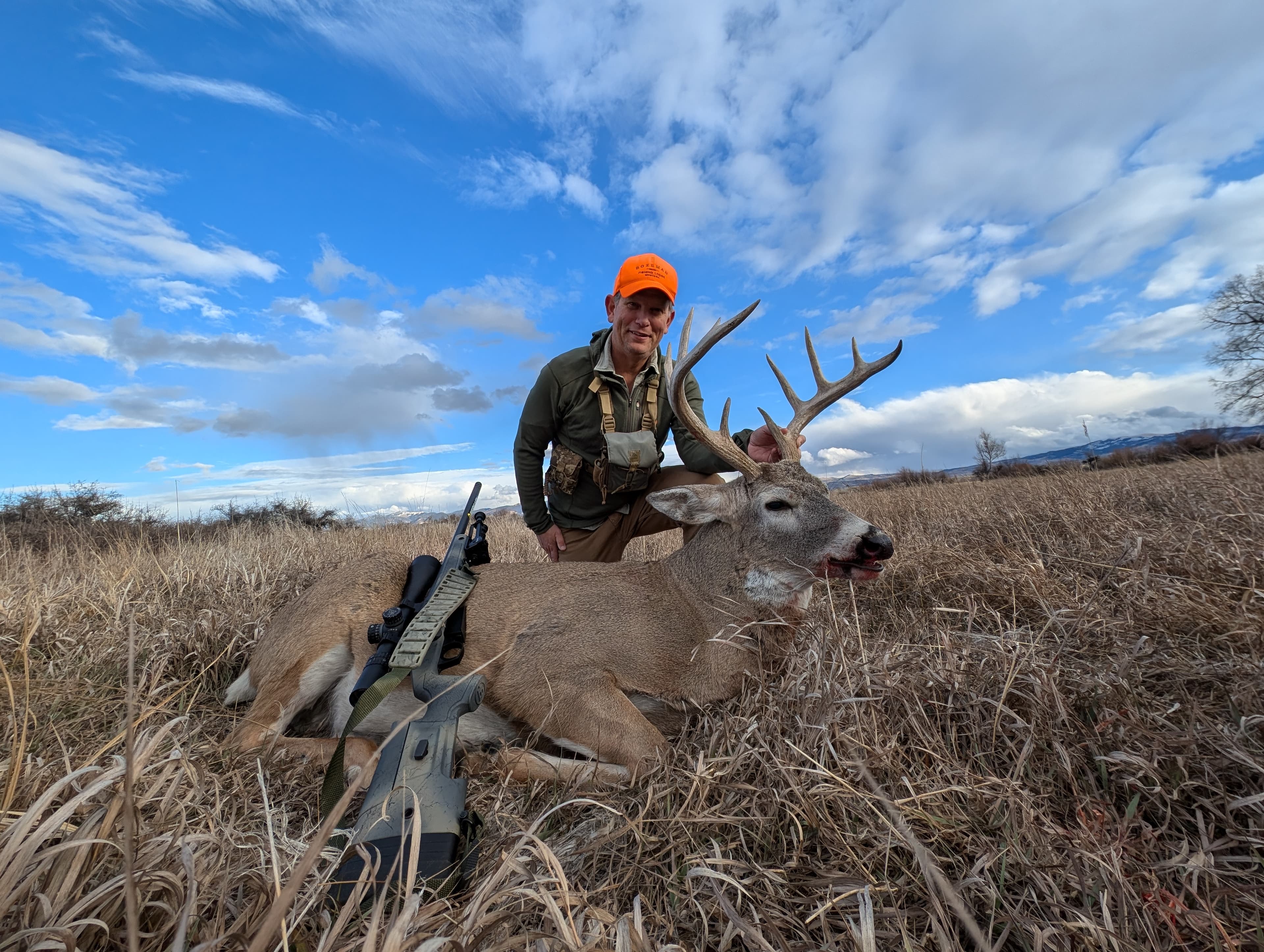 Whitetail