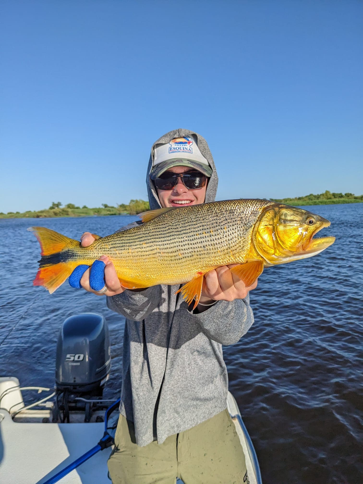 Golden Dorado
